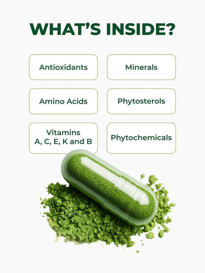 Moringa Leaf Powder
