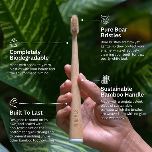 PRIMALS Boar Bristle & Bamboo Toothbrush (4 Pack)